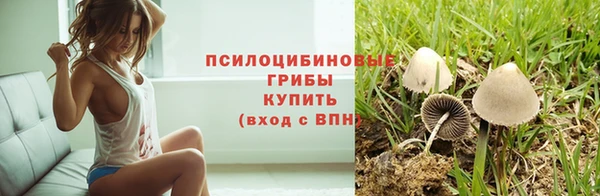 гашик Баксан